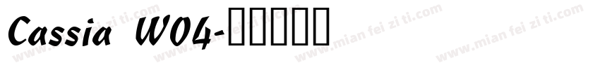 Cassia W04字体转换